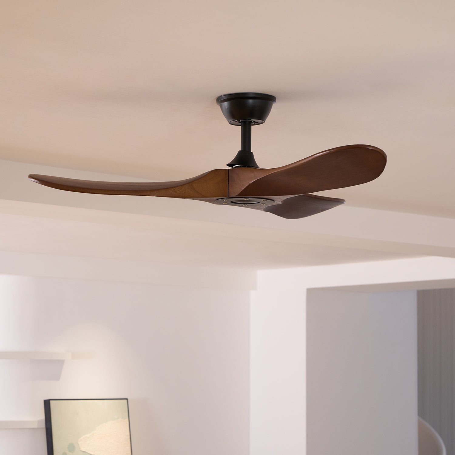 Modern wooden ceiling fan