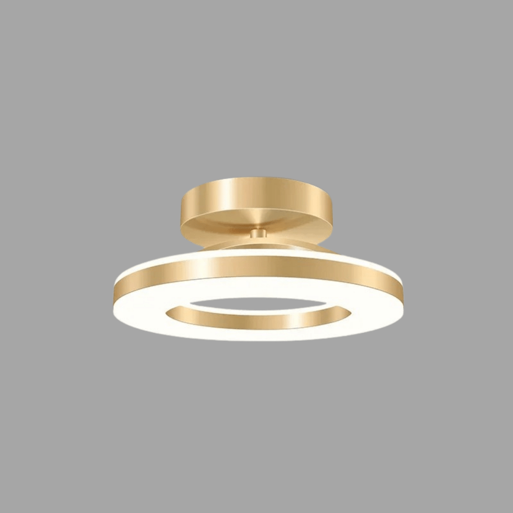 Modern LED ceiling light with rings for the living room