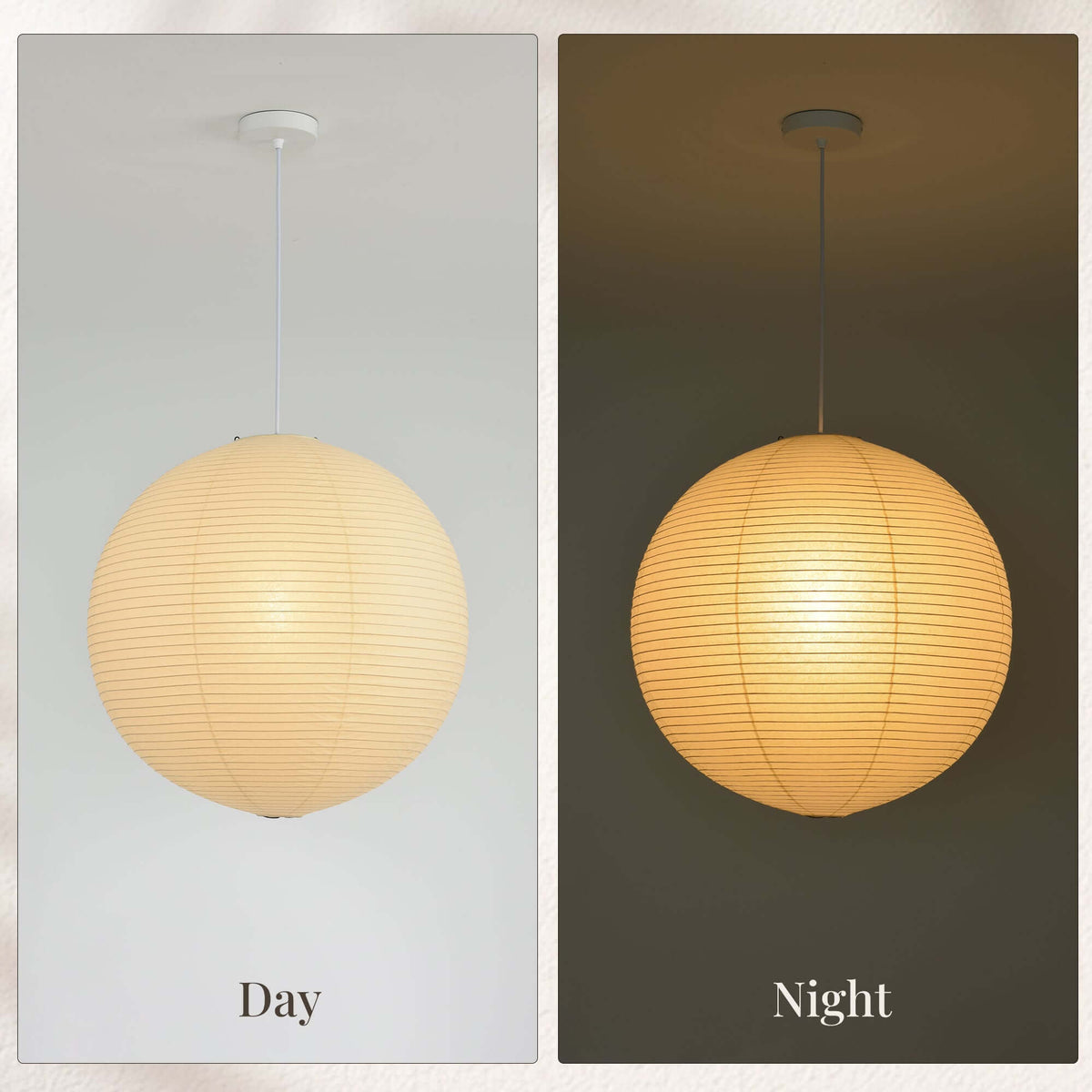 Modern Globe Pendant Light
