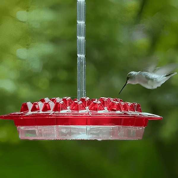 Karmnik dla kolibrów wiszący z pojemnikiem na nektar i ochroną mrówek